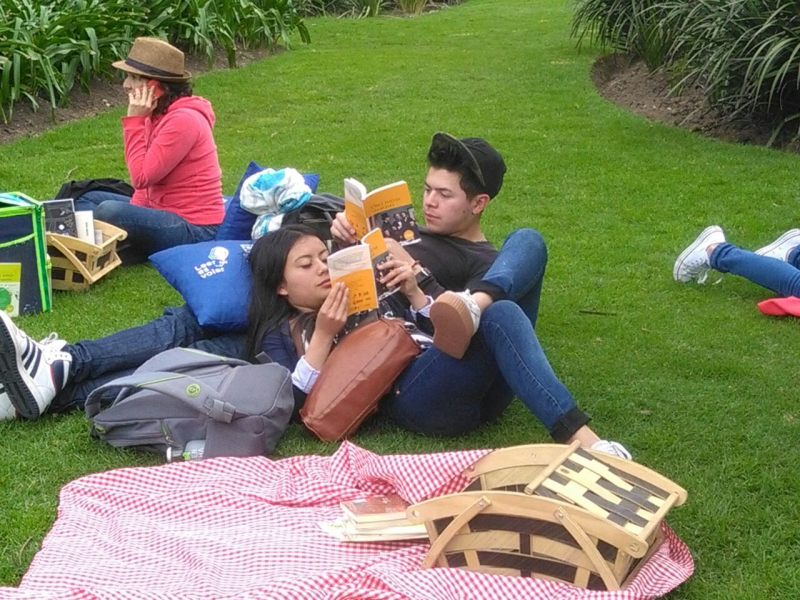 Hombre y mujer con libros al aire libre, recostados en el prado