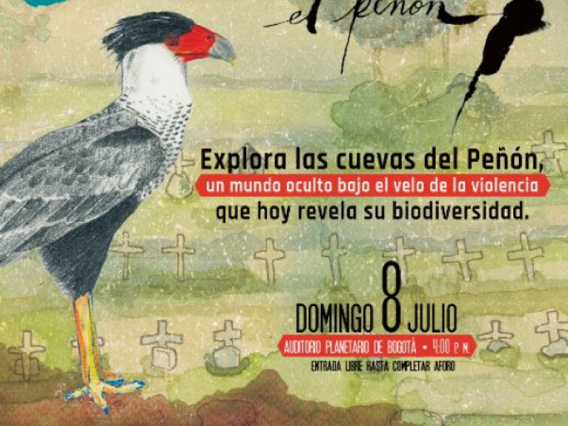 Franja documental Colombia - Bio Poster