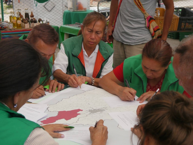 personas participando en una actividad de campo ciudad