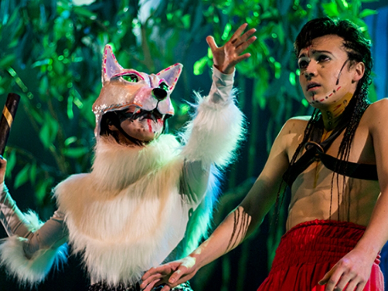 Amazonas, El libro de la selva