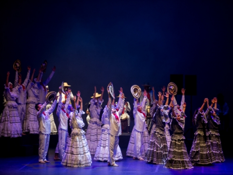 Grupo danza