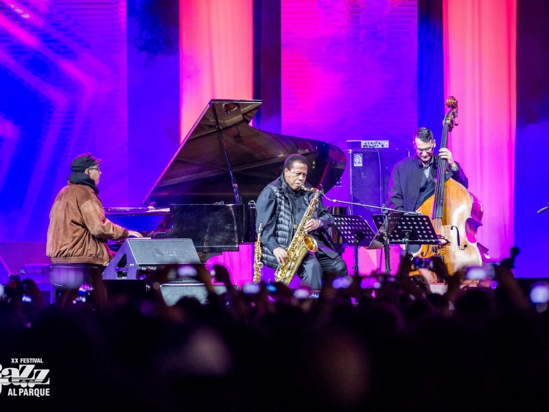 Jazz al parque artistas en escena