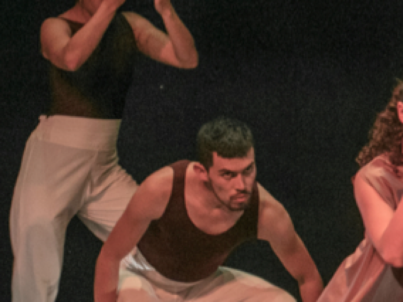 Cámara de Danza