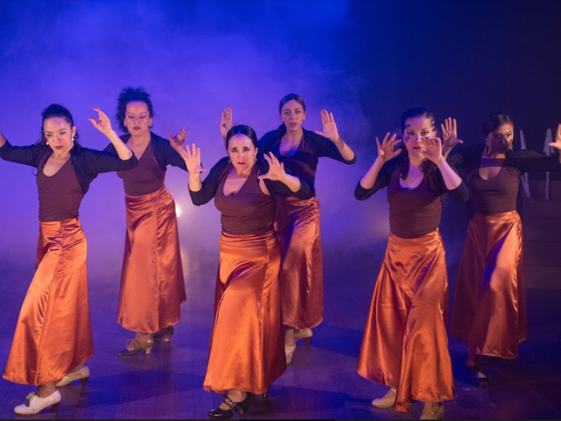 Flamenco grupo danza