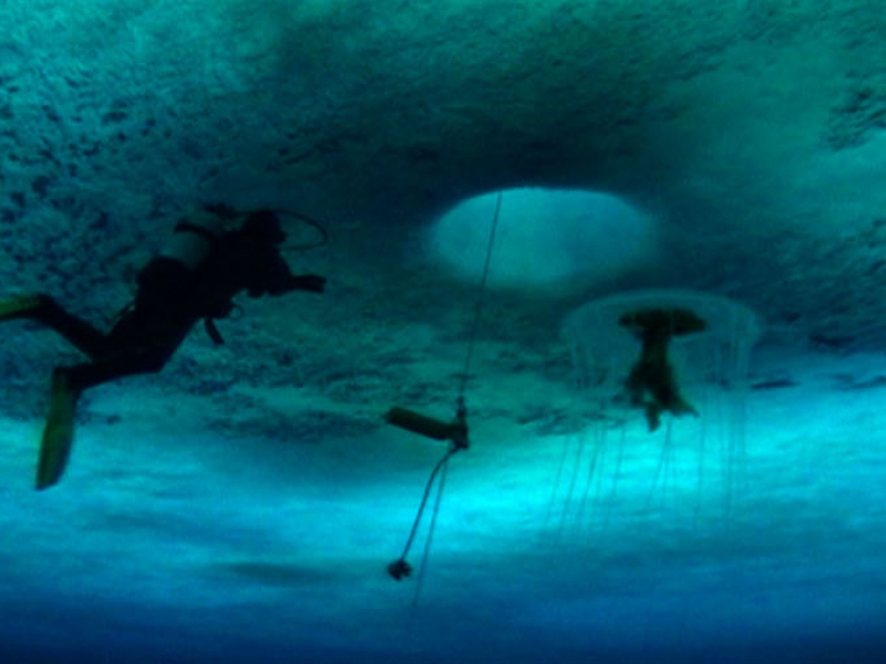 Escena de la película La salvaje y azul lejanía. Buzo debajo del agua azul. 