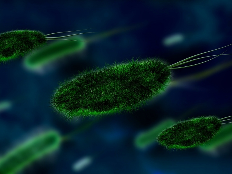 Foto de bacterias verdes sobre fondo azul.