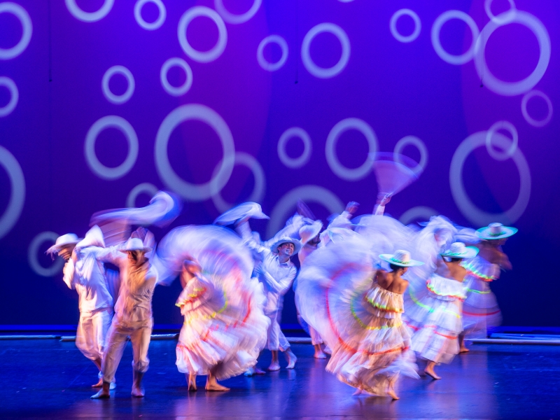 Danza folclor