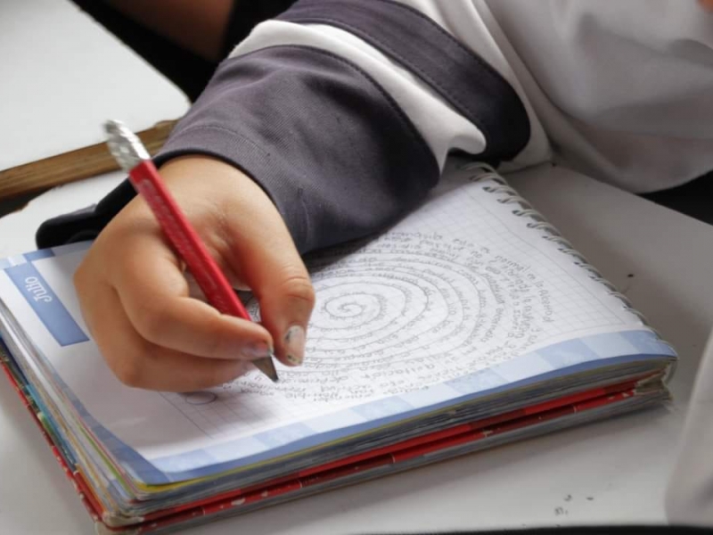 Niño escribiendo y dibujando en una agenda 