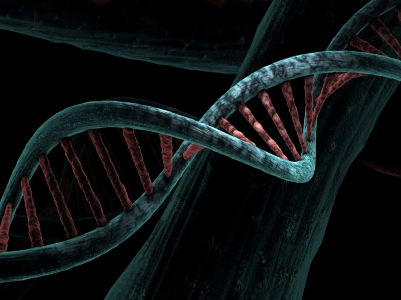 Simulación de un ADN