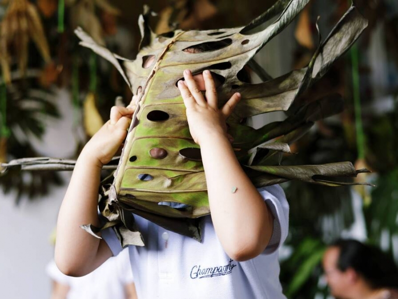 niño con hoja de árbol gigante en la cara