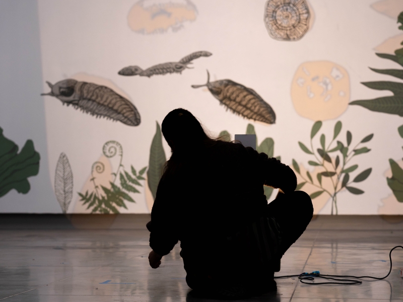 Montaje Arquitectura emocional