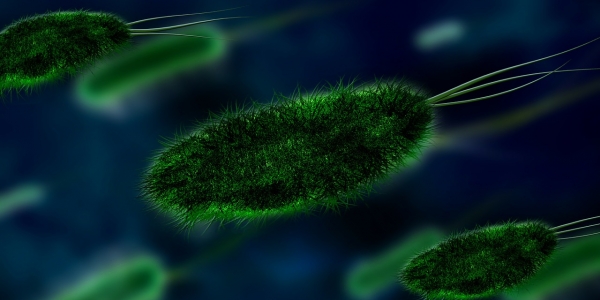 Foto de bacterias verdes sobre fondo azul.