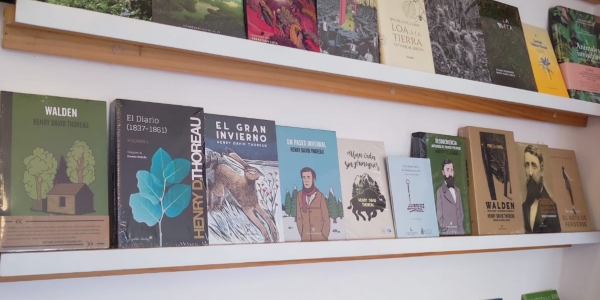 Libros en estantería