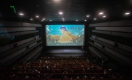 Fotografía sala de la Cinemateca con Proyección