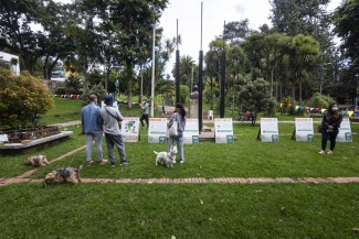 El Mercado de las Aves de EnvolVert en el Teatro el Parque