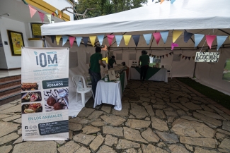 El Mercado de las Aves de EnvolVert en el Teatro el Parque