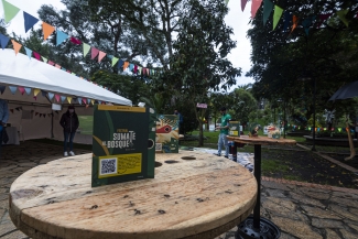 El Mercado de las Aves de EnvolVert en el Teatro el Parque