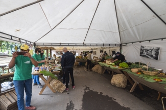 El Mercado de las Aves de EnvolVert en el Teatro el Parque