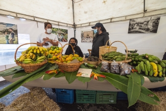 El Mercado de las Aves de EnvolVert en el Teatro el Parque