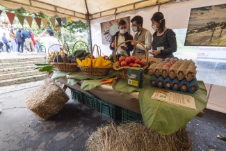 El Mercado de las Aves de EnvolVert en el Teatro el Parque