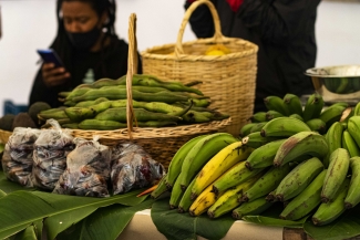 El Mercado de las Aves de EnvolVert en el Teatro el Parque