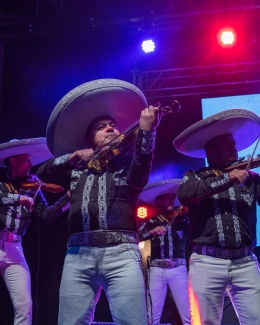 A grito herido- La Media Torta