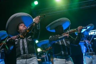 A grito herido- La Media Torta