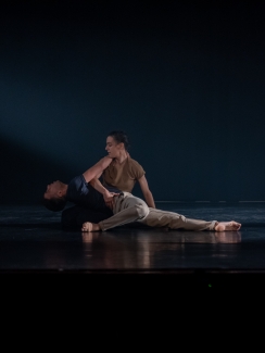 Festival Danza en la Ciudad Teatro Villa Mayor