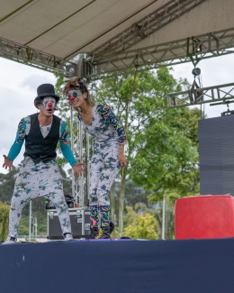 Bogotá disfrutó del Festival Es Cultura Local En el Centro Felicidad Fontanar del Río