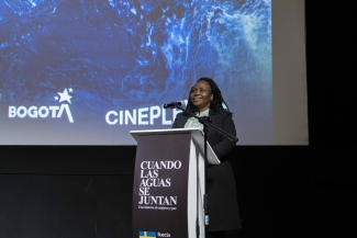 Publico, activistas y artistas en la premiere de la película Cuando las aguas se juntan