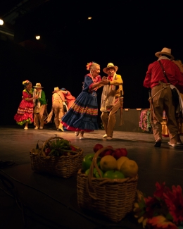 Feria de la danza - Antonio Nariño