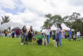 Actividades artística as y cinematográficas en Cinemateca al parque 2023