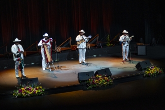 Décimo Encuentro Internacional Maestros del Arpa