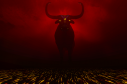 Toro animado con un foto rojo