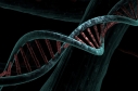 Simulación de un ADN