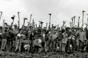 Campesinos