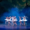 Encuentro de Escuelas y Academias de Ballet