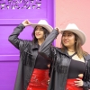 Las DVG