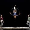 circo debut 