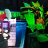 Escena de Mi árbol y yo